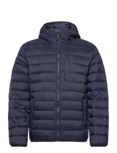 Hollister Hco. Guys Outerwear Hollister Navy