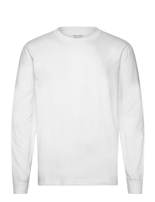 Hco. Guys Knits Hollister White