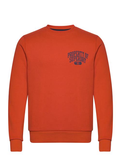 Superdry Athletic Script Flock Sweat Superdry Orange