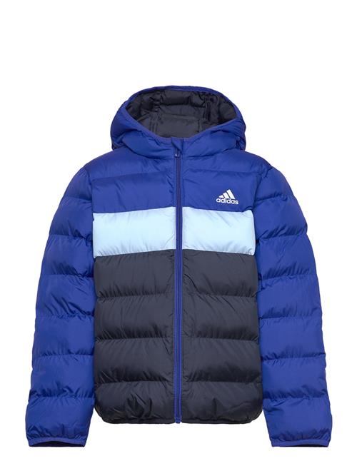 adidas Sportswear J Sd Jkt Adidas Sportswear Blue