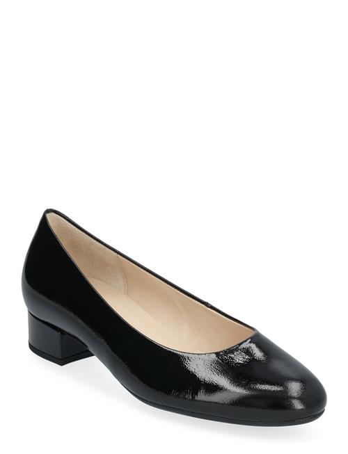 Gabor Pumps Gabor Black