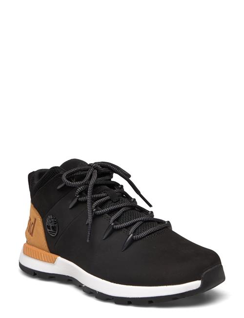 Mid Lace Up Sneaker Timberland Black