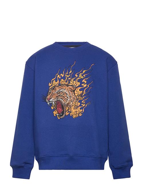 The New Tndoze Os Sweatshirt The New Blue