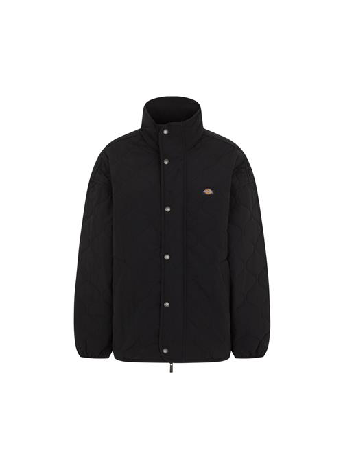 DICKIES Vinterjakke 'THORSBY'  sort