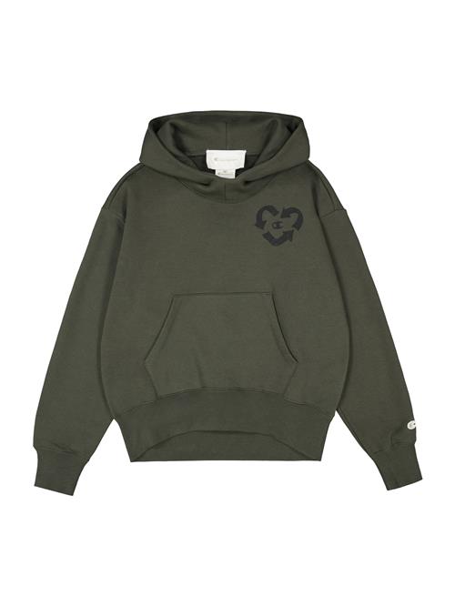 Champion Authentic Athletic Apparel Sweatshirt  natblå / pastelgrøn / mørkegrøn