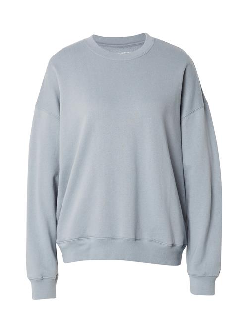 HOLLISTER Sweatshirt  røggrå