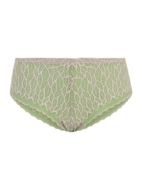 Cache Cœur Panty  taupe / kiwi