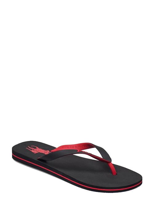 Polo Ralph Lauren Bolt Pony Flip-Flop Polo Ralph Lauren Black