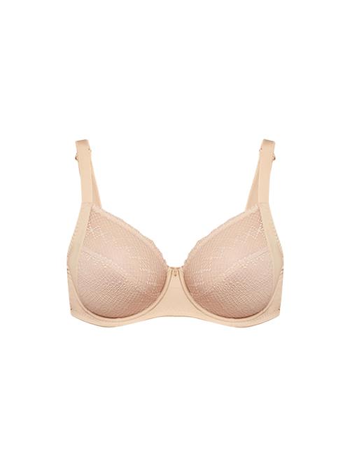 Gisela BH  nude