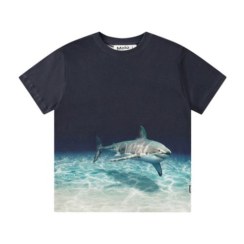 Molo Roxo T-shirt Faded Shark | Marine blå | 152 cm