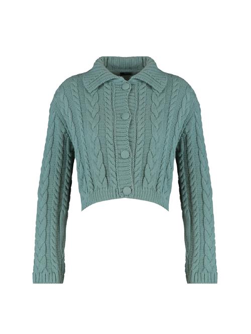 Trendyol Cardigan  grøn