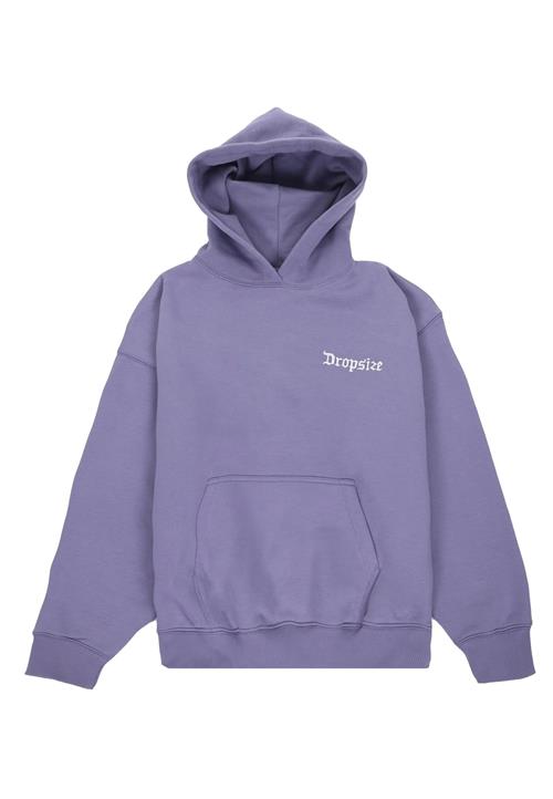 Se Dropsize Sweatshirt  violetblå / hvid ved About You