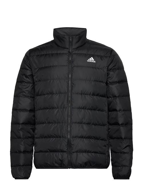 Adidas Essentials Light Down Jacket Adidas Sportswear Black