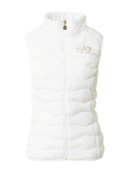 EA7 Emporio Armani Vest  mokka / hvid