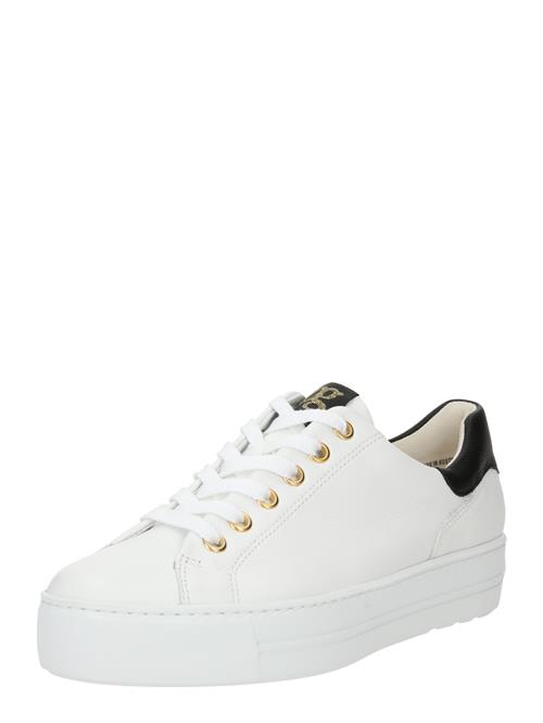 Paul Green Sneaker low  guld / sort / hvid