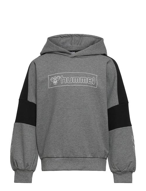 Hmlboxline Hoodie Hummel Grey