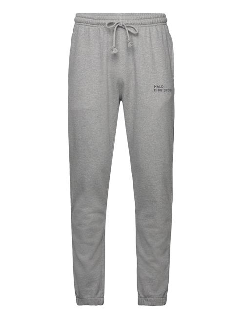 HALO Halo Essential Sweatpants HALO Grey