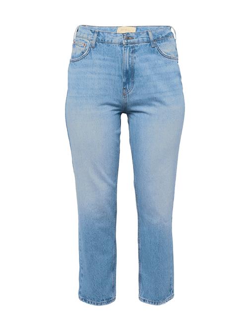 ONLY Curve Jeans 'ROBYN'  blue denim