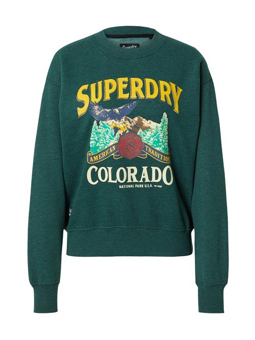 Superdry Sweatshirt  brun / lysegul / mørkegrøn / orange