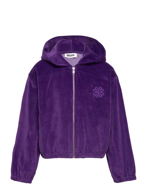 Madeleine Molo Purple