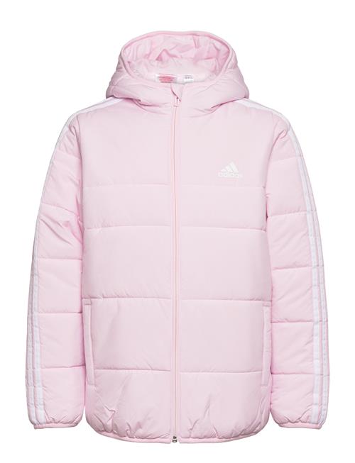 3-Stripes Padded Jacket Kids Adidas Sportswear Pink