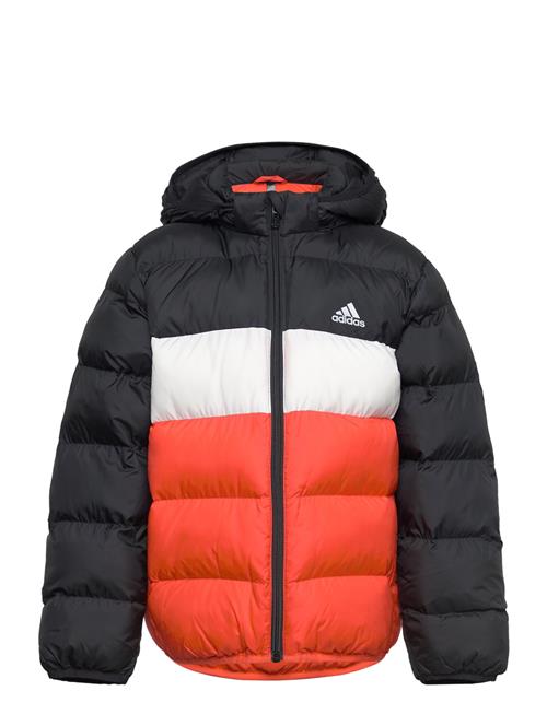 adidas Sportswear Lk Sd Jkt Adidas Sportswear Black