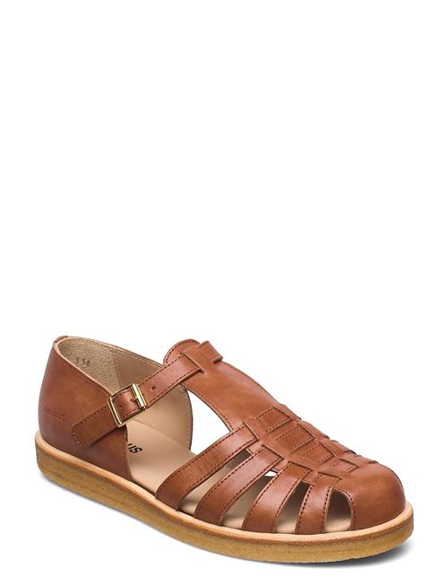 ANGULUS Sandals - Flat - Closed Toe - Op ANGULUS Brown