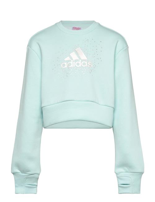 adidas Sportswear Jg Glm Crew Adidas Sportswear Blue