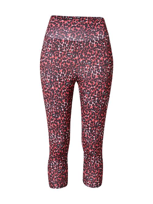 Dorothy Perkins Leggings  hindbær / vinrød / sort / hvid