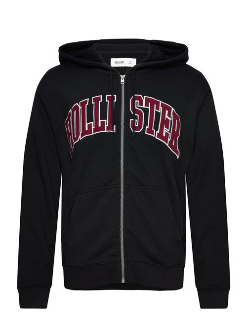 Hollister Hco. Guys Sweatshirts Hollister Black