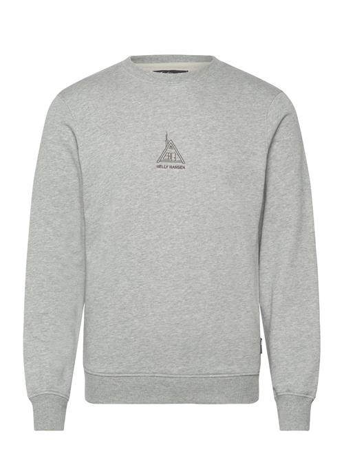 F2F Organic Cotton S Helly Hansen Grey