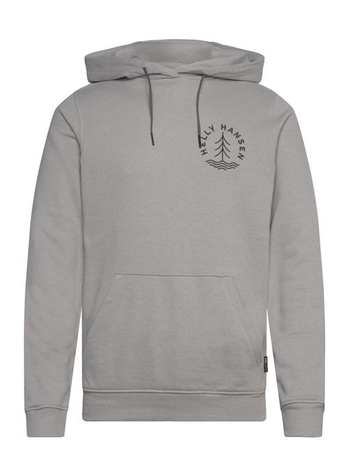 Helly Hansen F2F Organic Cotton Hoodie Helly Hansen Grey