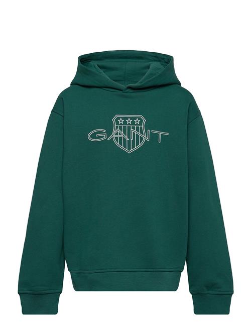 Relaxed Contrast Shield Hoodie GANT Green