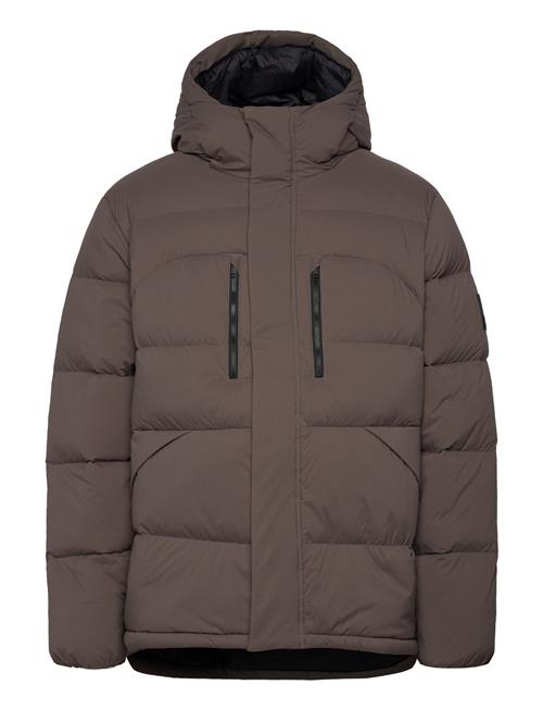 Jack Wolfskin Roemertor Jkt M Jack Wolfskin Brown