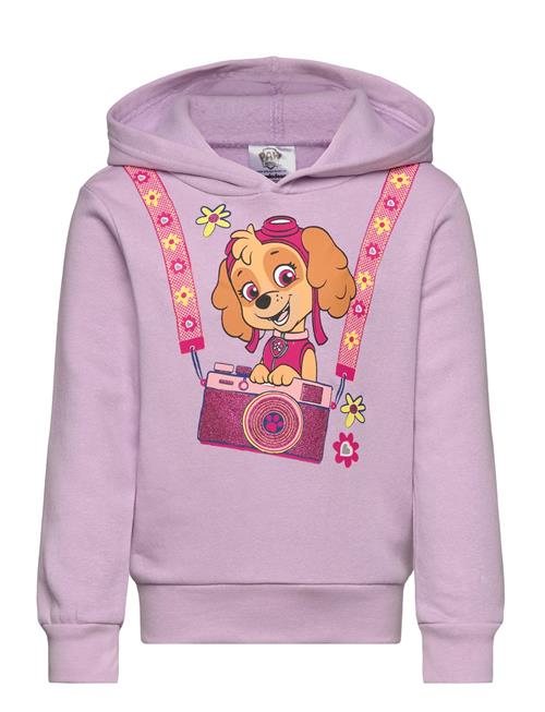 Paw Patrol Sweats Paw Patrol Purple