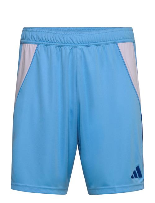 Tiro24 Sho Adidas Performance Blue