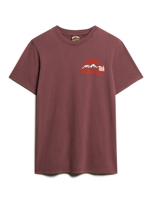 Great Outdoor Chest Graphc Tee Superdry Brown