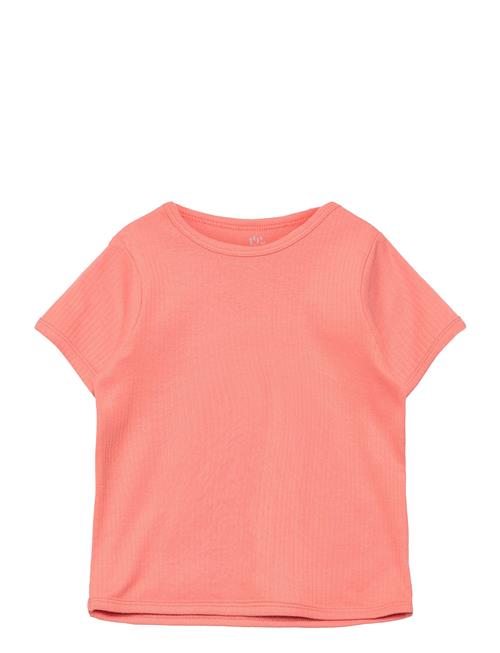 Rib Jersey T-Shirt Copenhagen Colors Coral