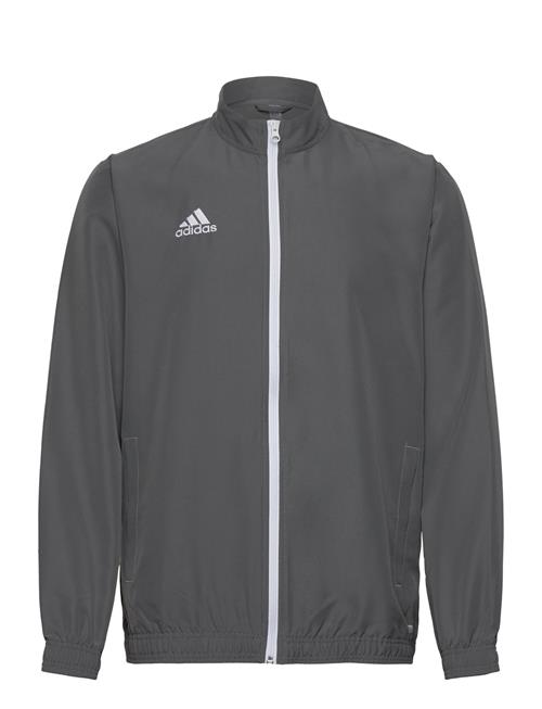 adidas Performance Ent22 Pre Jkt Adidas Performance Grey