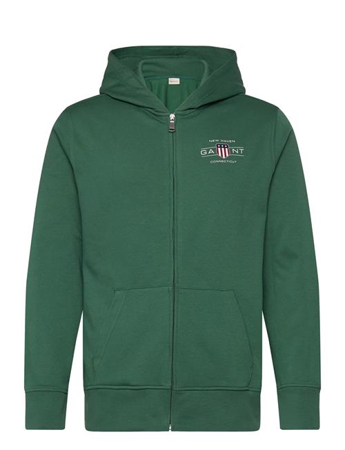 Graphic Fullzip Hoodie GANT Green