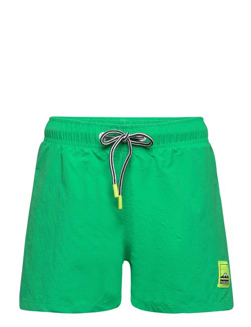 Molo Niko Solid Molo Green