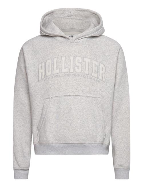 Hollister Hco. Guys Sweatshirts Hollister Grey