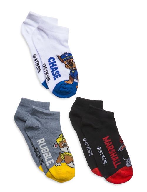 Socks Paw Patrol Patterned