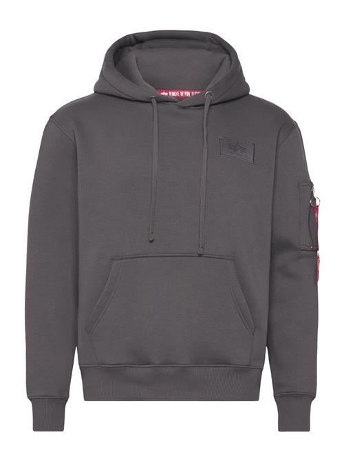 Back Print Hoodie Alpha Industries Grey
