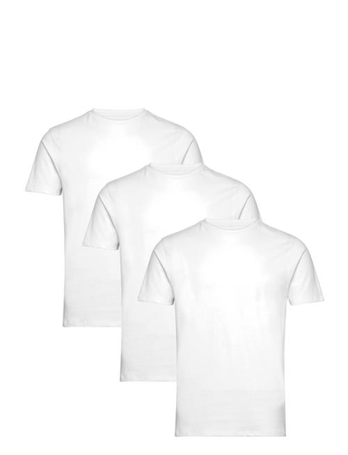 Bruun & Stengade Bs Antiqua Regular Fit T-Shirt Bruun & Stengade White