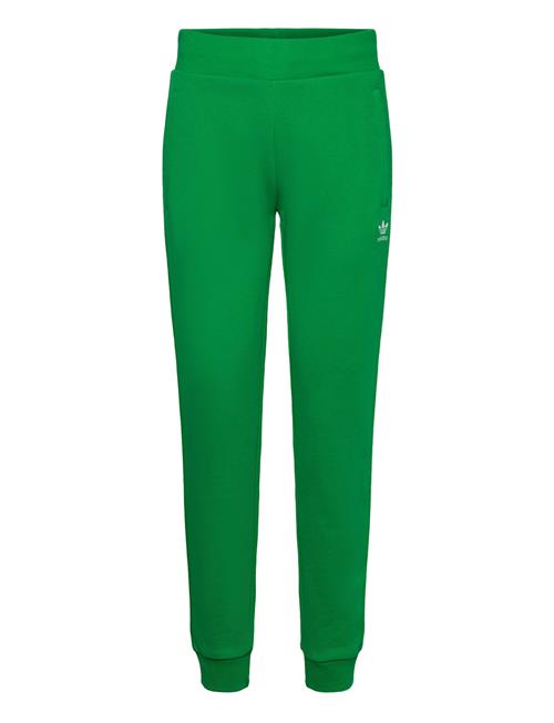 adidas Originals Track Pant Adidas Originals Green