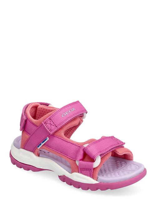 J Borealis Girl A GEOX Pink