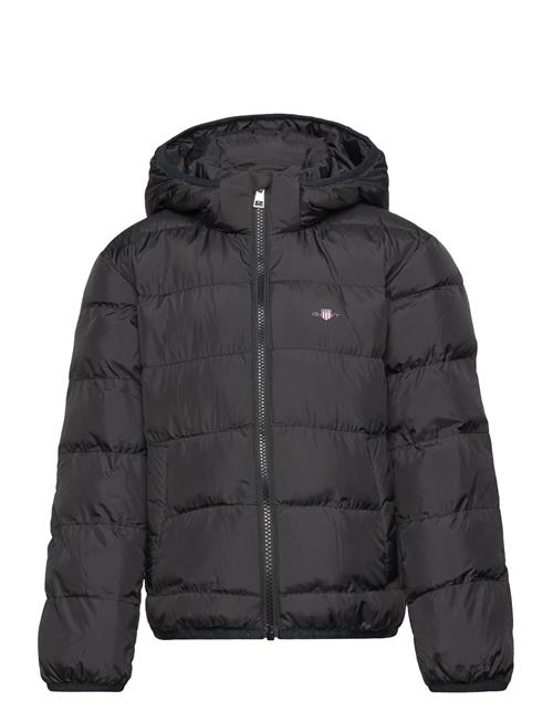 GANT Light Padded Shield Jacket GANT Black