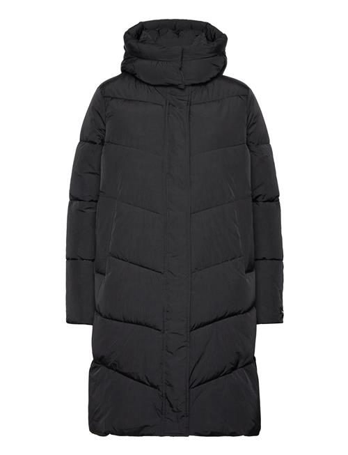 Modern Padded Coat Calvin Klein Black