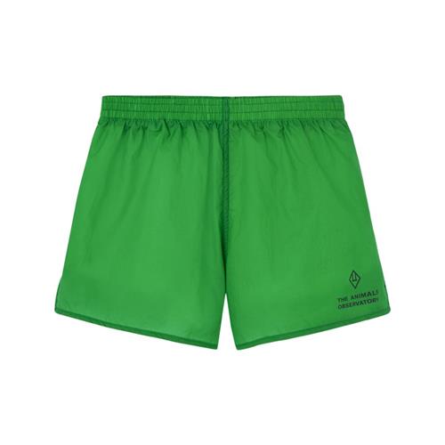 The Animals Observatory Spider Kid Shorts Green | Grønn | 14 years